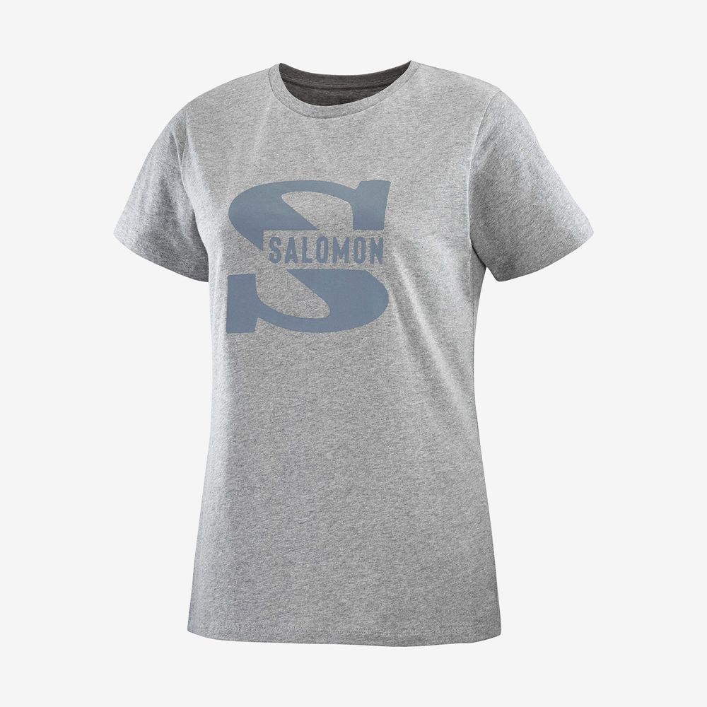 Camisetas Salomon Mujer Gris - Salomon Argentina OUTLIFE BIG LOGO,043916-ZNU